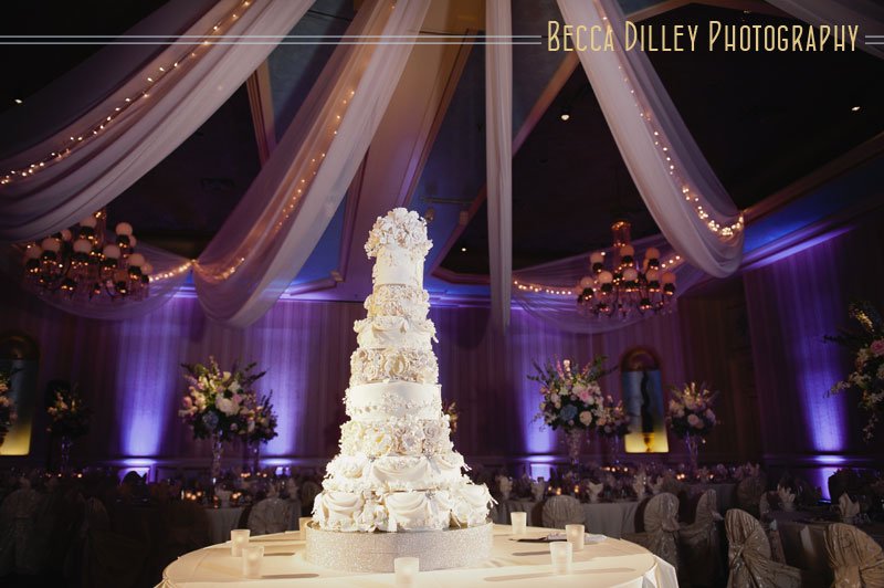 St Paul hotel wedding mn wedding cake