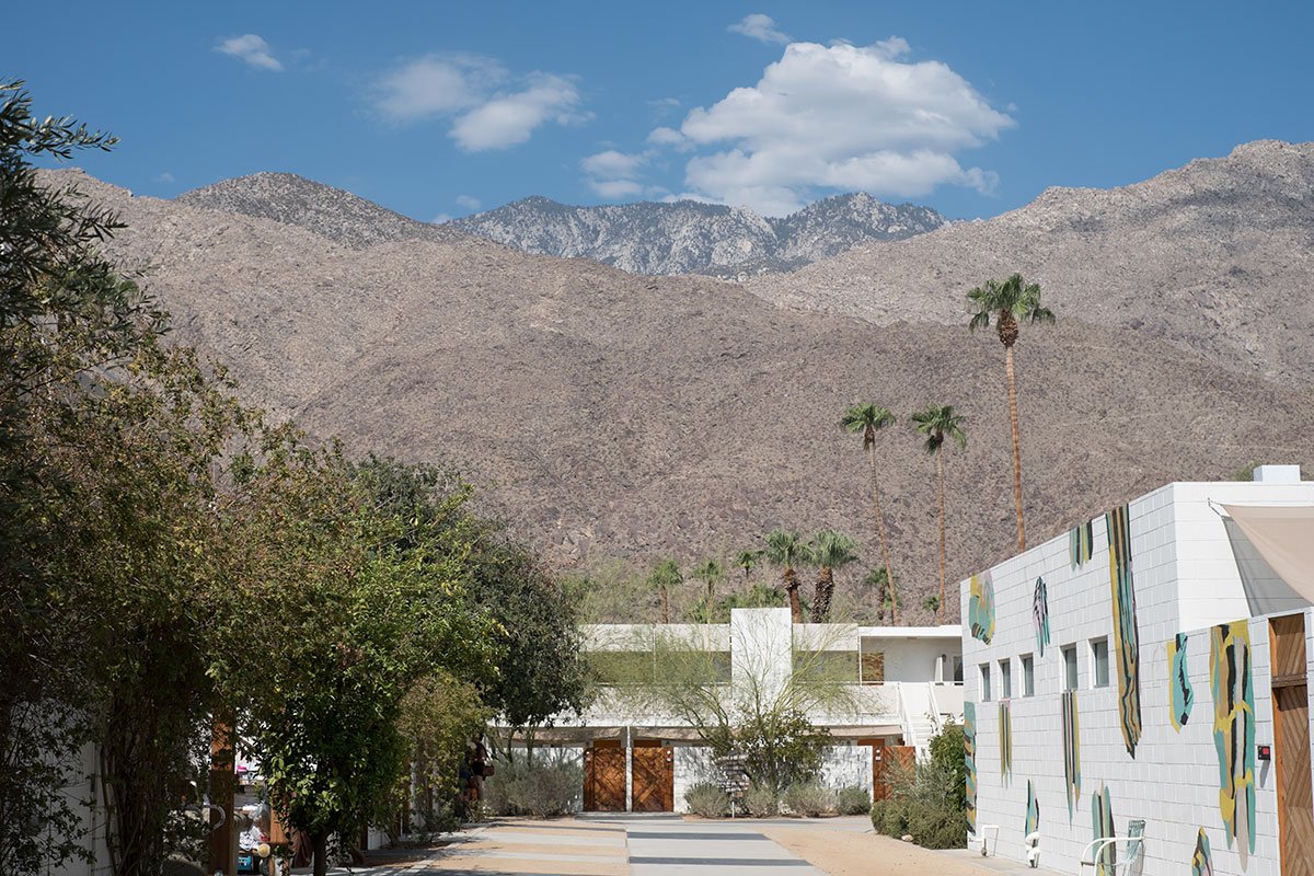 essay on being a self aware photographer palm springs