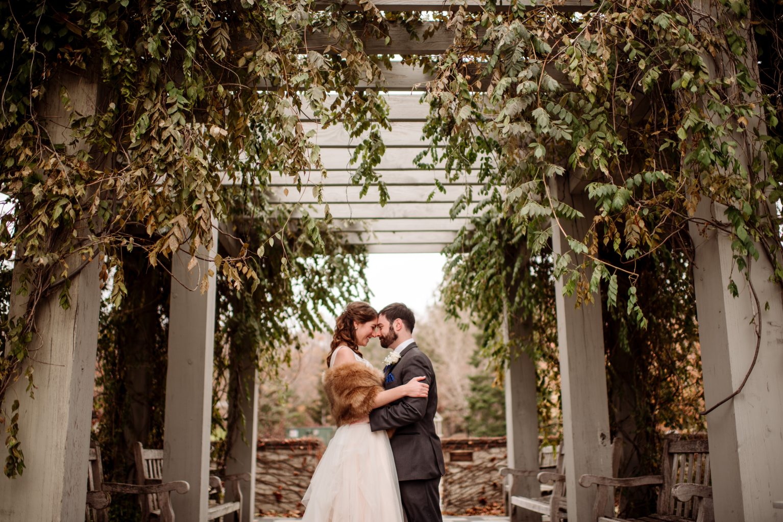 couple under trellis of mn arboretum wedding for fall ceremony