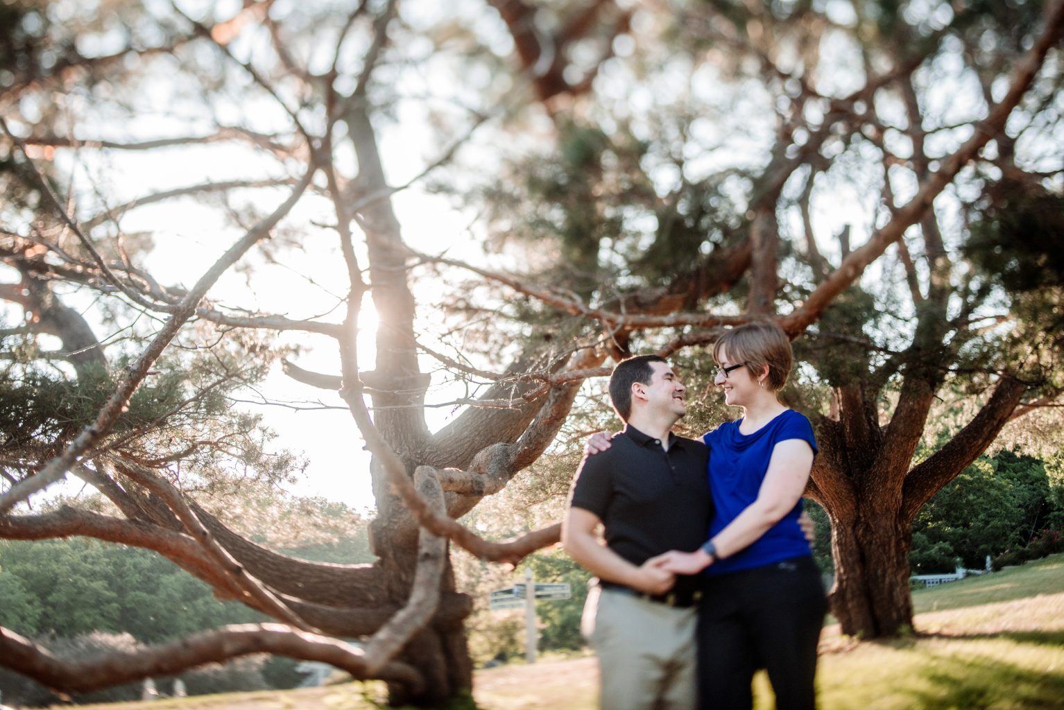 couple looking at each other under pine tree for engagement photos at mn arboretum 