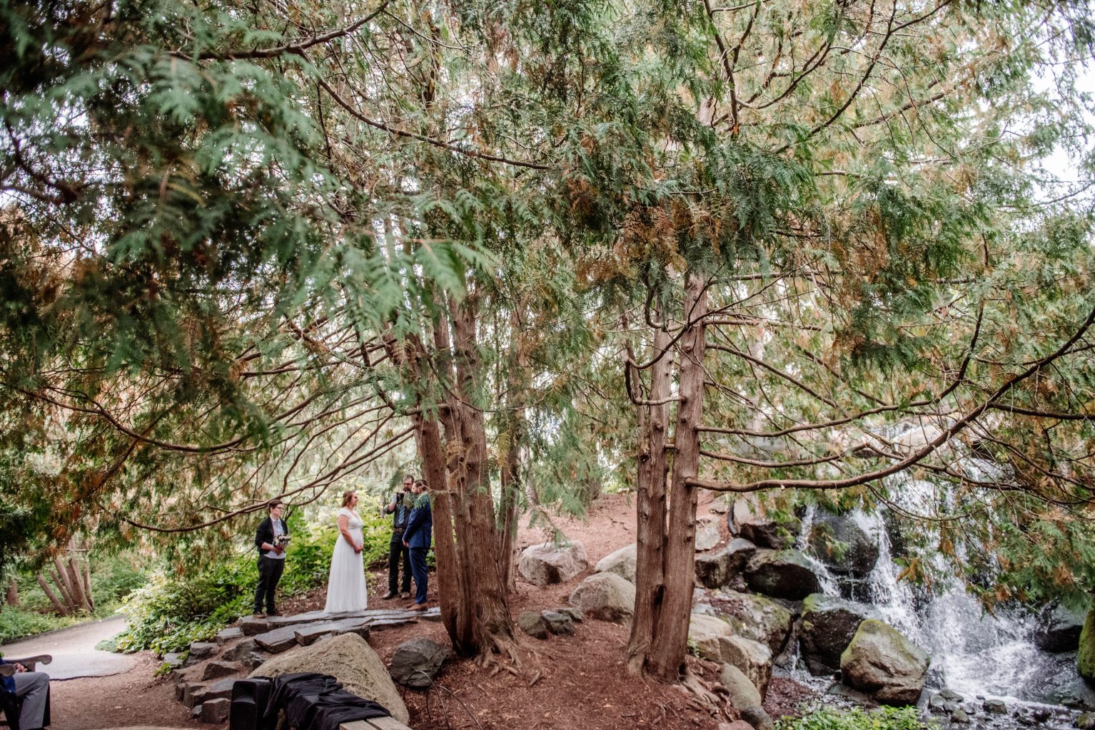 wedding ceremony ay mn arboretum wedding in pine grove
